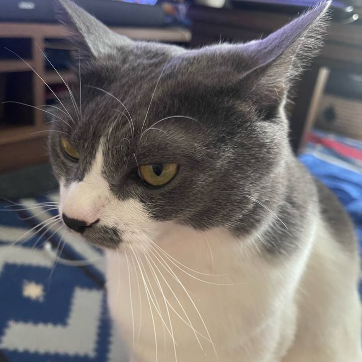 6414201b 5ead 4ad9 8fa0 39480c3bad9a 1690600057511