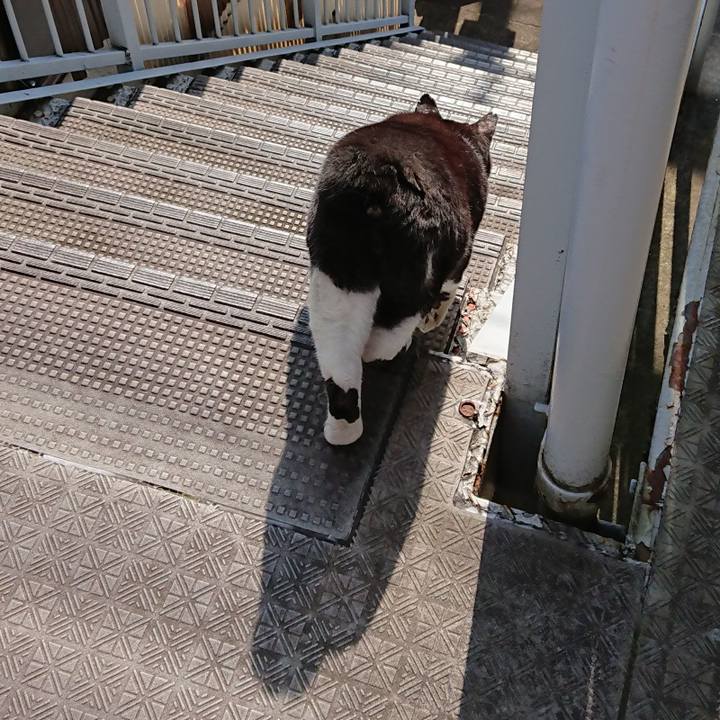 641442df ee44 4b26 8a17 cce0554662be 1627779340373