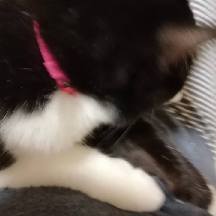 641496bf e5d9 447d 8d5b 26e7eaaa34b6 1559312470063