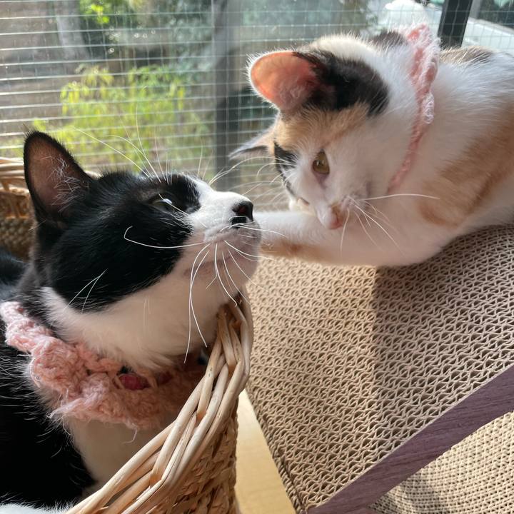 641506fa 31b2 4731 8279 d546a1bb551d 1667775895552