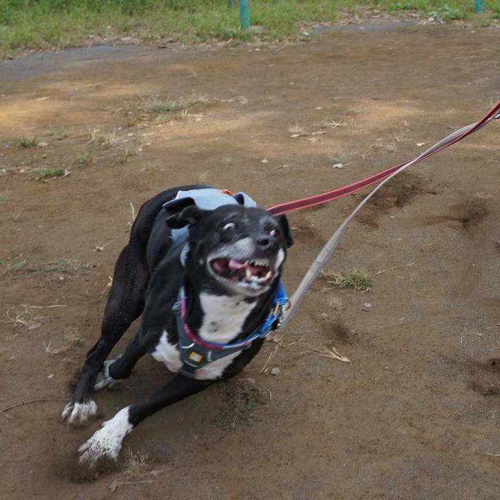 64150d8a 7555 462e ab2a 3d4c49d884f9 1759018492936