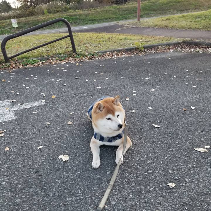 64150f19 68d0 43e5 be30 f44f6fcc9c7f 1636787114543