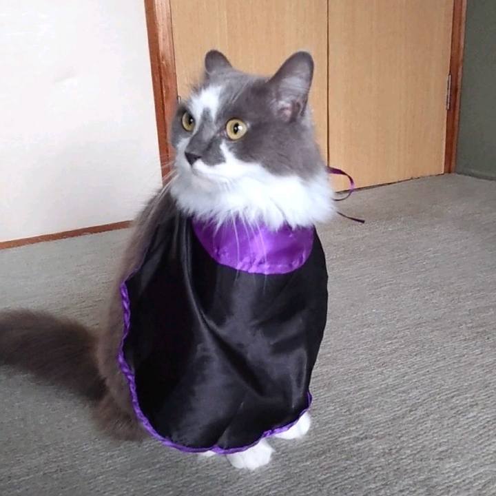 641529c8 0ce6 4164 b571 e1af4ede2f8e 1726989706428