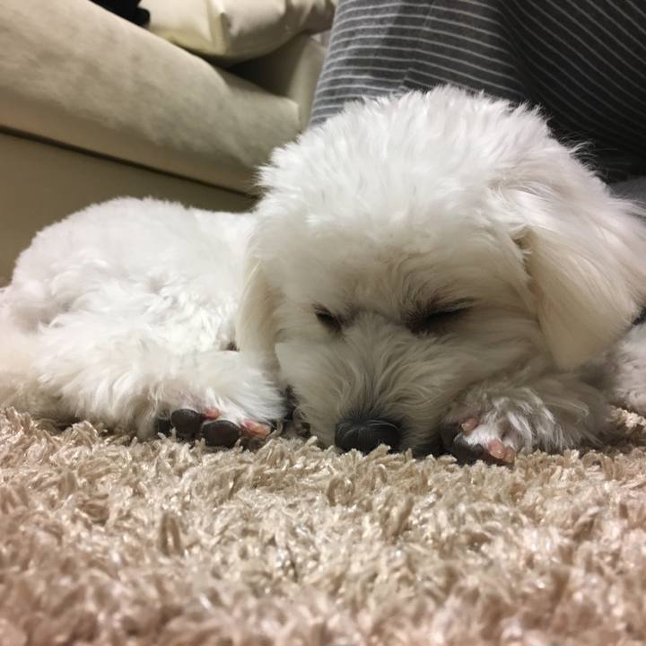 6415c4d6 d080 4262 8085 706b2d10f7cb 1517922581880