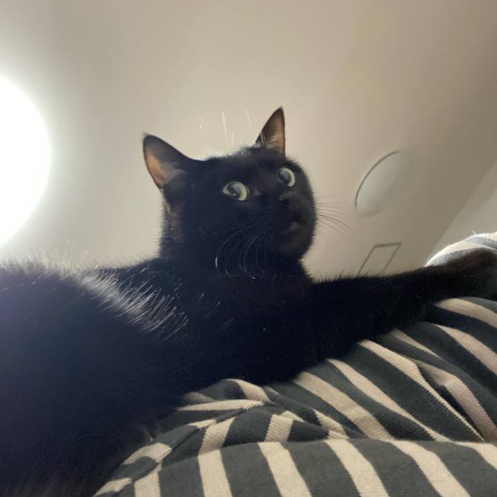 6415f95a 5da3 4acd 9d2b c46fb5e9d00f 1649075790982