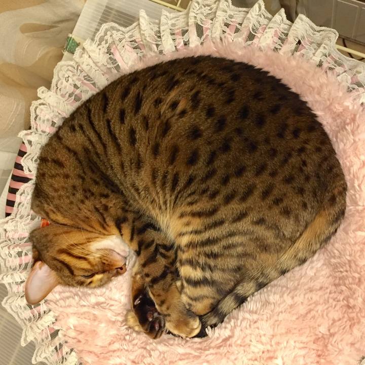 64162891 bce7 42f3 98dc da98637aa0db 1521946302145