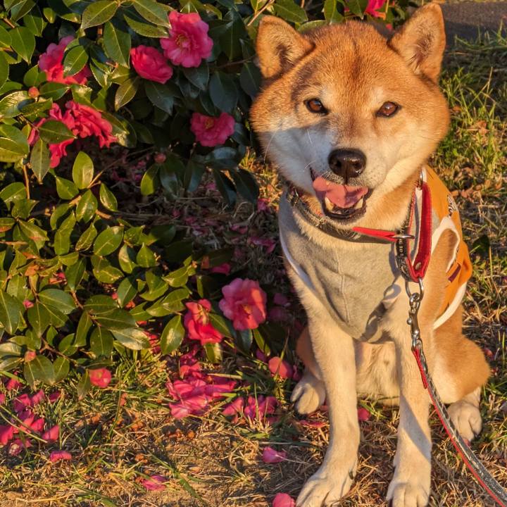 64166538 4707 4446 93a8 bd103dc06a91 1704441635203