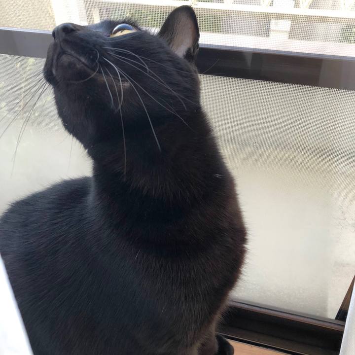 6416721e cf19 4b56 b064 ab792ba72757 1545955861731