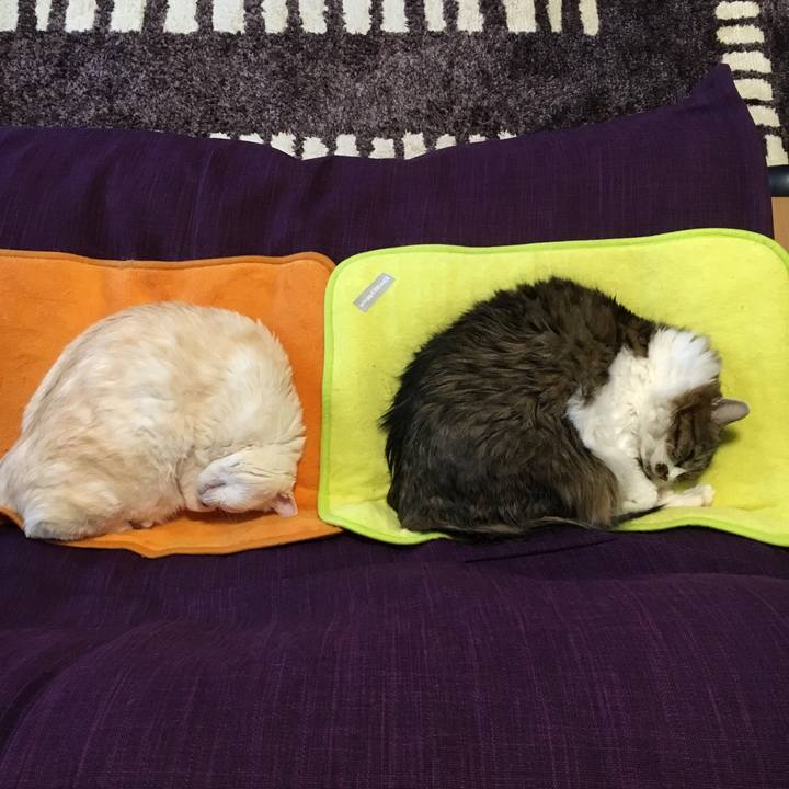 6416aca2 4a04 44a4 9a6e 828944af1cf7 1511854797736