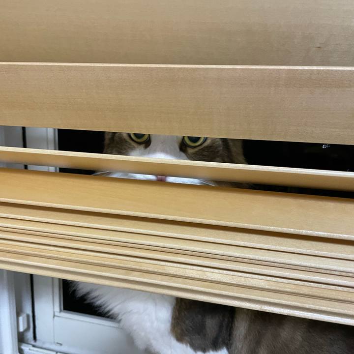 6416e472 6232 4060 a820 464ce2fa043b 1659009697183