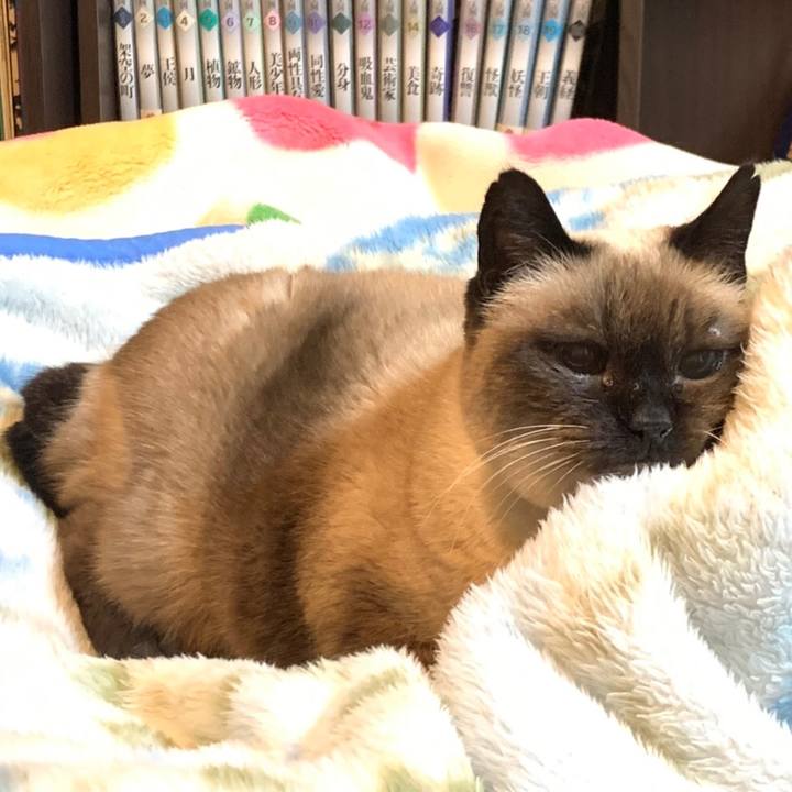 6416e47e 6913 45fe aed8 c3c00f522a7f 1576633779761