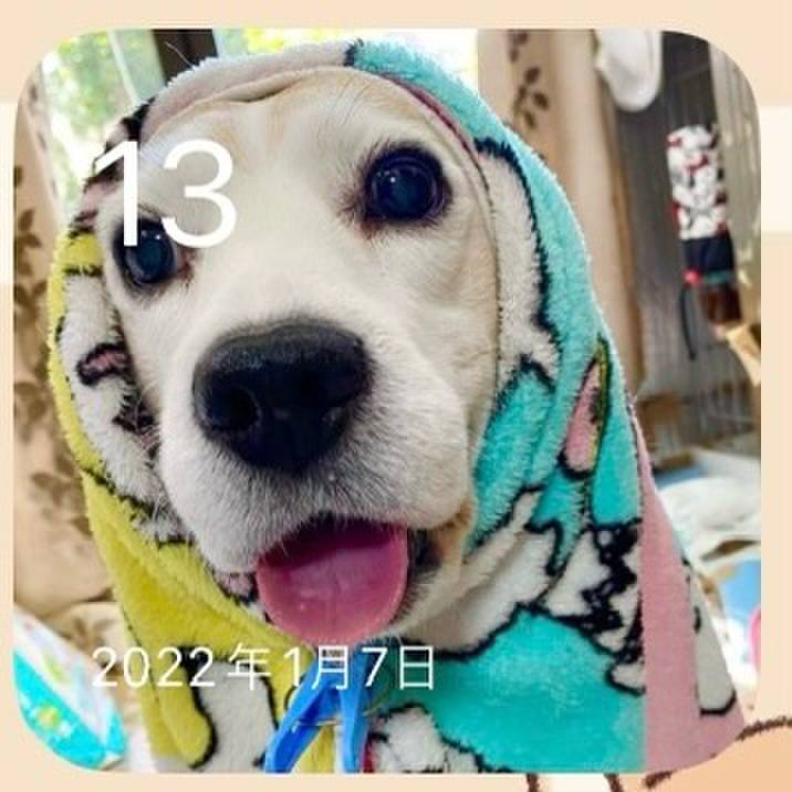 64170446 26fc 4d63 8e22 e07239a87cfb 1705131579491