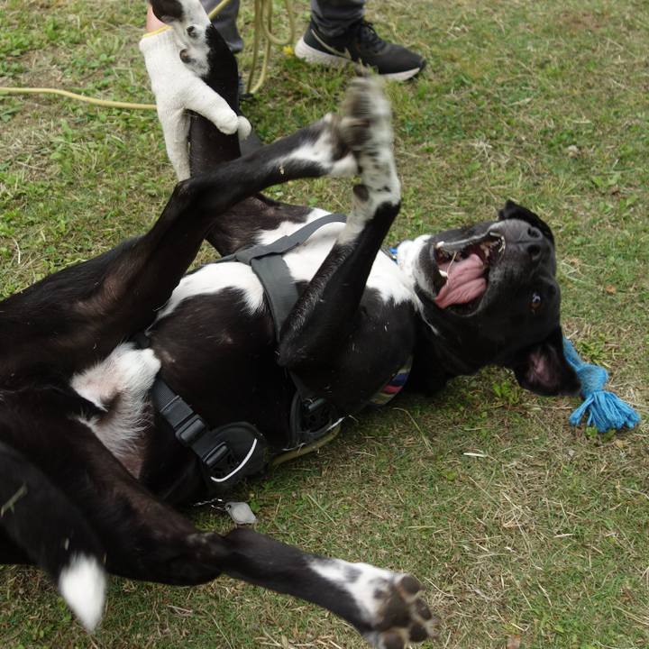 64171831 a531 426e a6ff b3b0c6520a4c 1652314709369