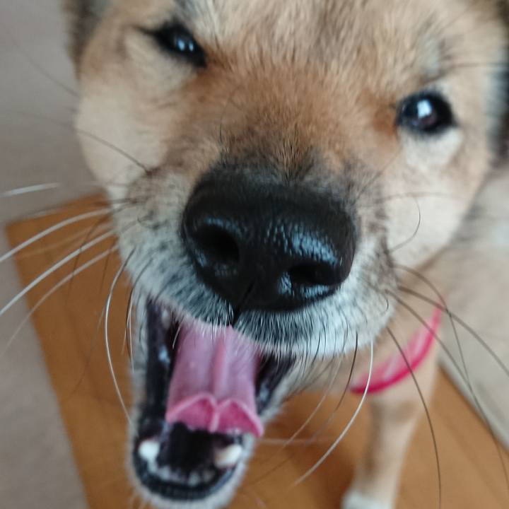 64174511 2906 4b73 9442 5c2fc0994e28 1608816679429