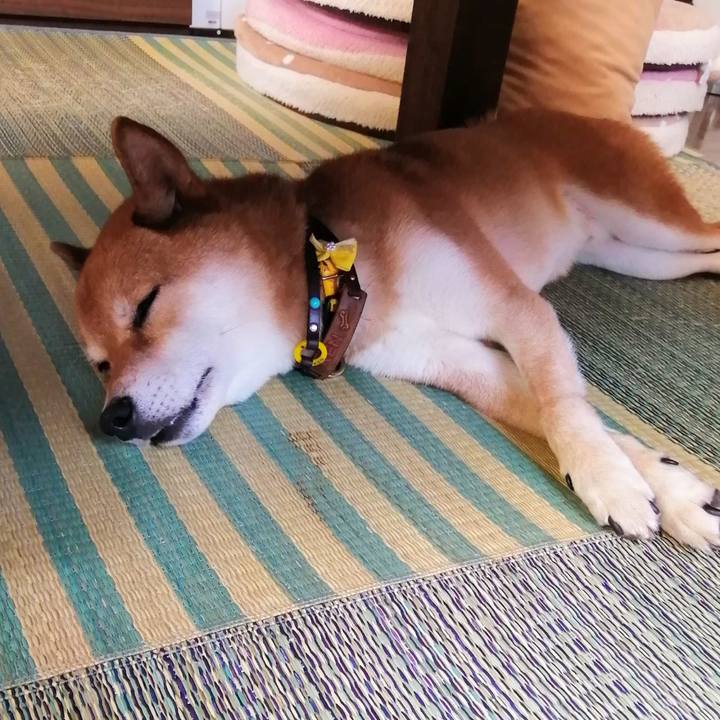 64174b29 4c57 4de2 b5dc 0d4023aebbfd 1597720263468