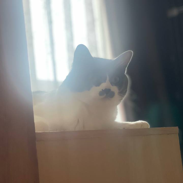 64176530 33bc 4d40 b2a3 354aba4f20a4 1652858777836