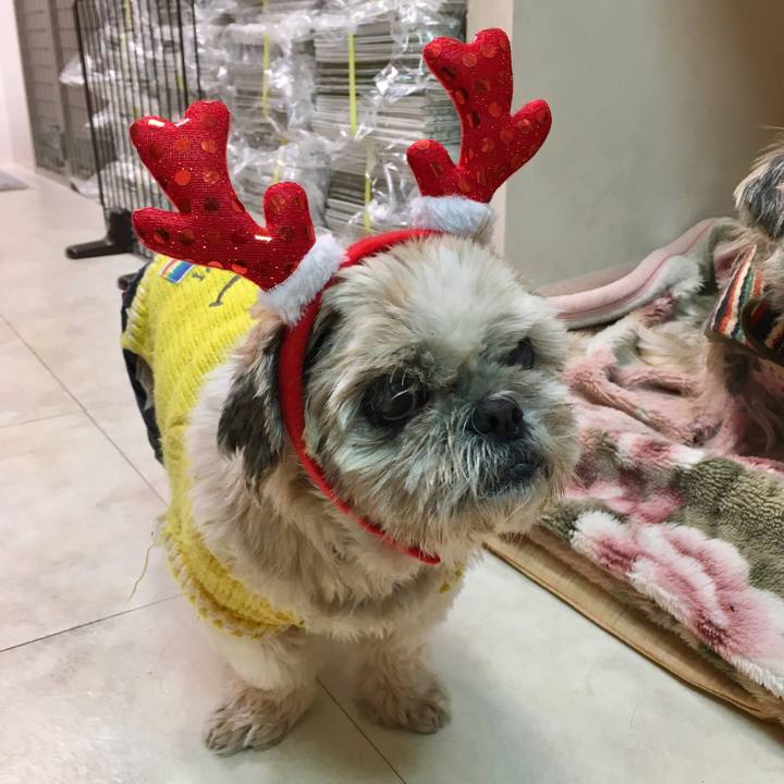 641773b8 76b2 4ceb b007 4f19b6a7819f 1511859309251