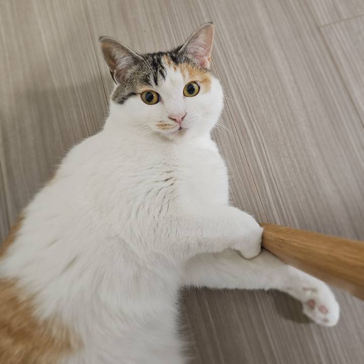 64177a94 9906 44b7 8c74 1366b568546e 1773396848118