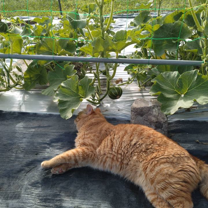 6417b702 8453 48ba 9478 5a4d429d5ac6 1688427427627