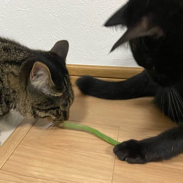 6418020c d75f 48be 905f a078655cc845 1624965493915