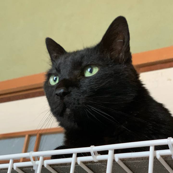 641807b1 9726 4cc0 babc 813797fb2909 1591838714260