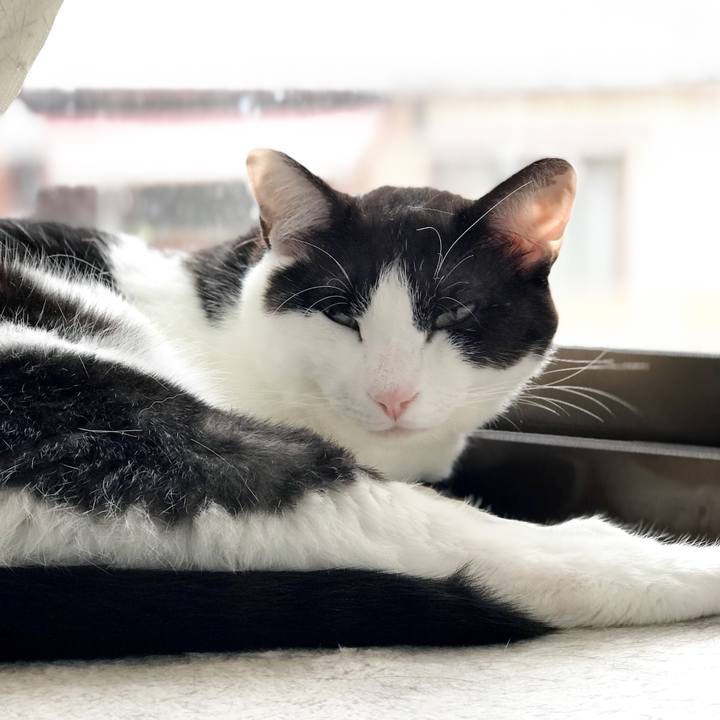 641829b5 146a 4b2b 864d a6da0a8fcc1e 1527642519634