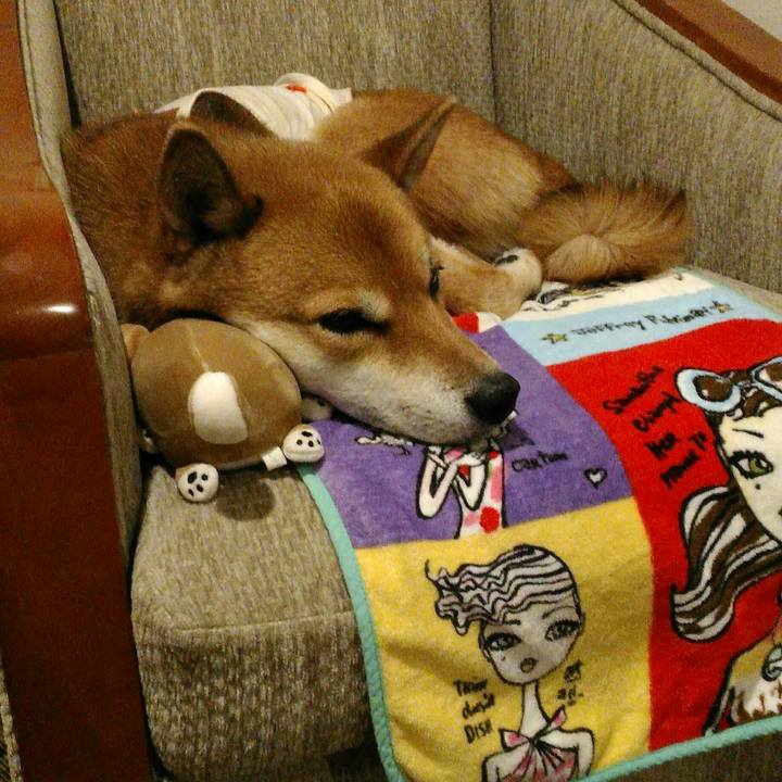 64183926 e31b 4b1e 91c8 b5aa1a0ee9ef 1510495358831