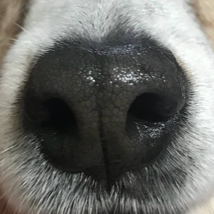 6418527a 04b9 48b5 bb8b 998a05776738 1523446181168