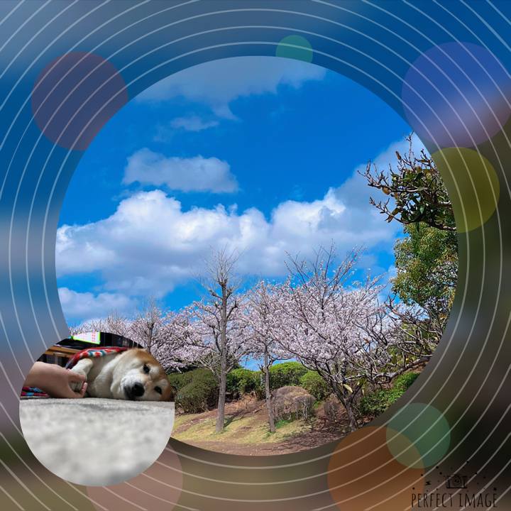 641856ad cce5 49fd 8274 c67ae7825ab1 1680126979460