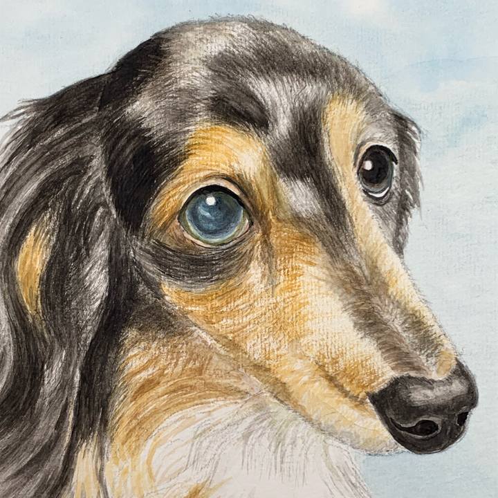 64186ad8 5592 47a0 8d4c 5626234e9e4d 1686373729864