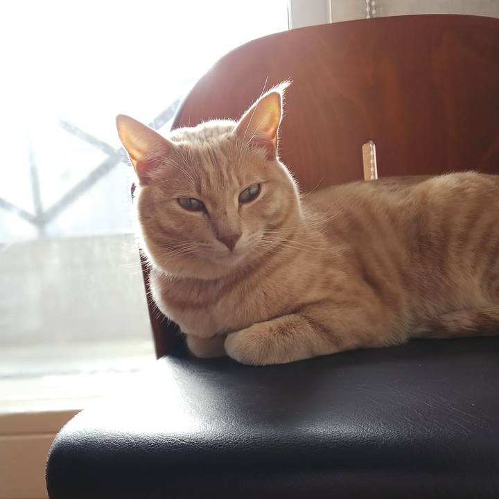 6418719f 29ca 4e4c a053 3c7ced00141a 1572148112632