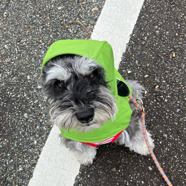 64187a92 4115 48e2 89e1 9f12c0d253b3 1714536595383