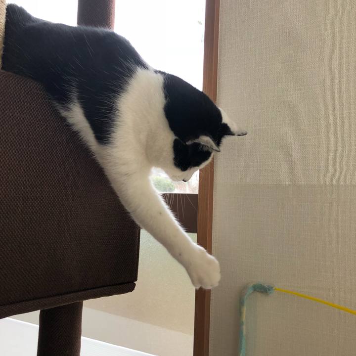 6418803d c879 4ba8 a0e9 db066c52282f 1549596926811