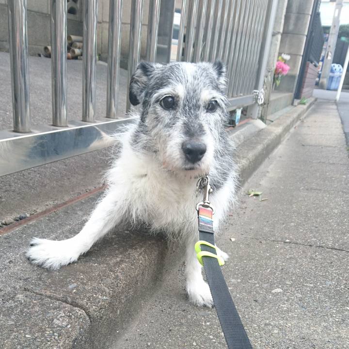 64188c1d 0fd2 421a 864c 5949fe3482b7 1532560838162