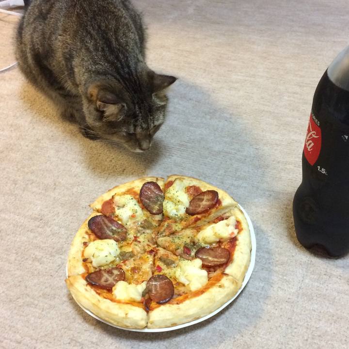 641892ba 008d 4e7f bf8e 642772f17bd7 1568634062338