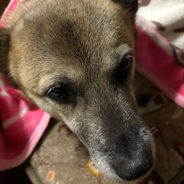 6418c2e3 b36b 4d47 b33e ff7488484277 1763557141429