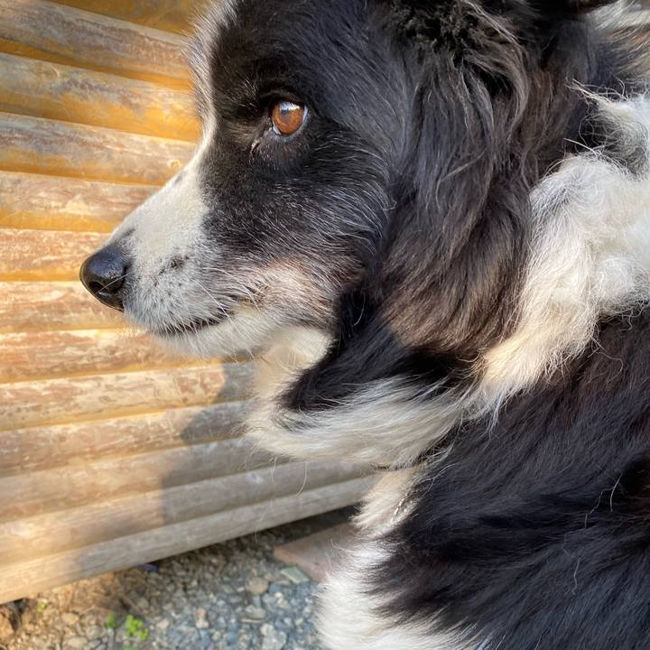 6418e87a 0f4d 4b20 b43c 81599ae3eae7 1667778238654