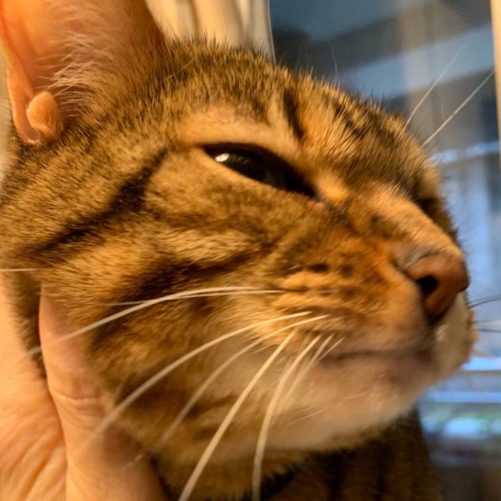 641900fd f46f 4e03 91ec 68329bdf5aeb 1551394129215