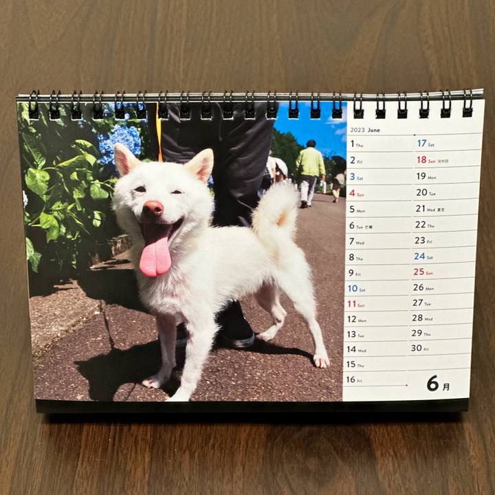 64193130 7aec 440e b7d6 5908ada504e6 1685625480846