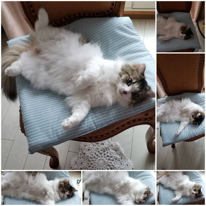 641939f4 867e 4734 b22d d28540f5d025 1595453653382