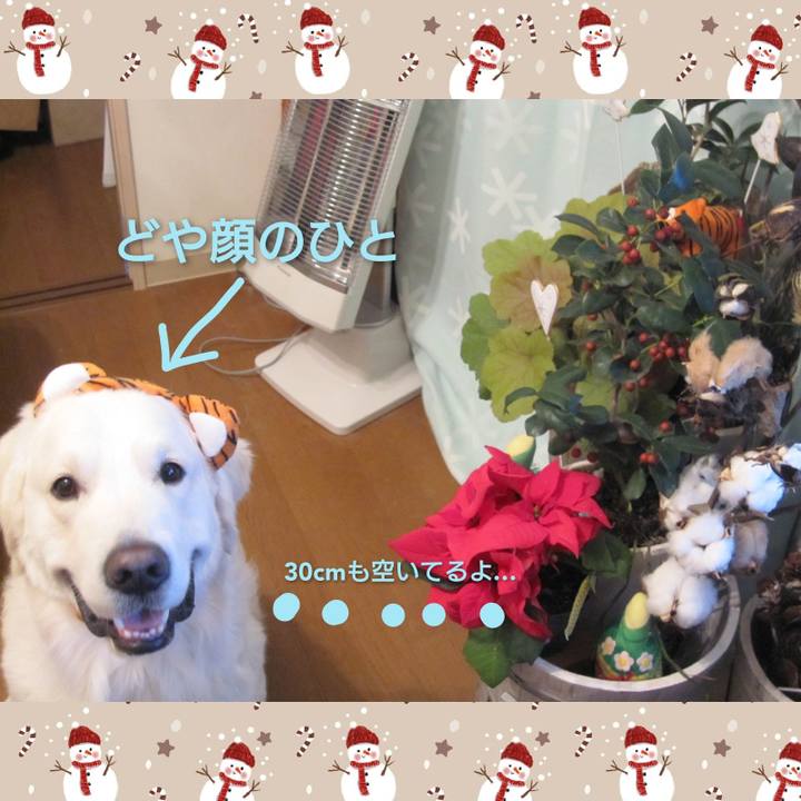 64196619 b791 442c 89c1 2500eae9e974 1640087952784