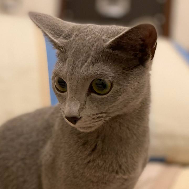 6419a368 b323 4a0f 9e4b ea8ff000dd49 1605534901016