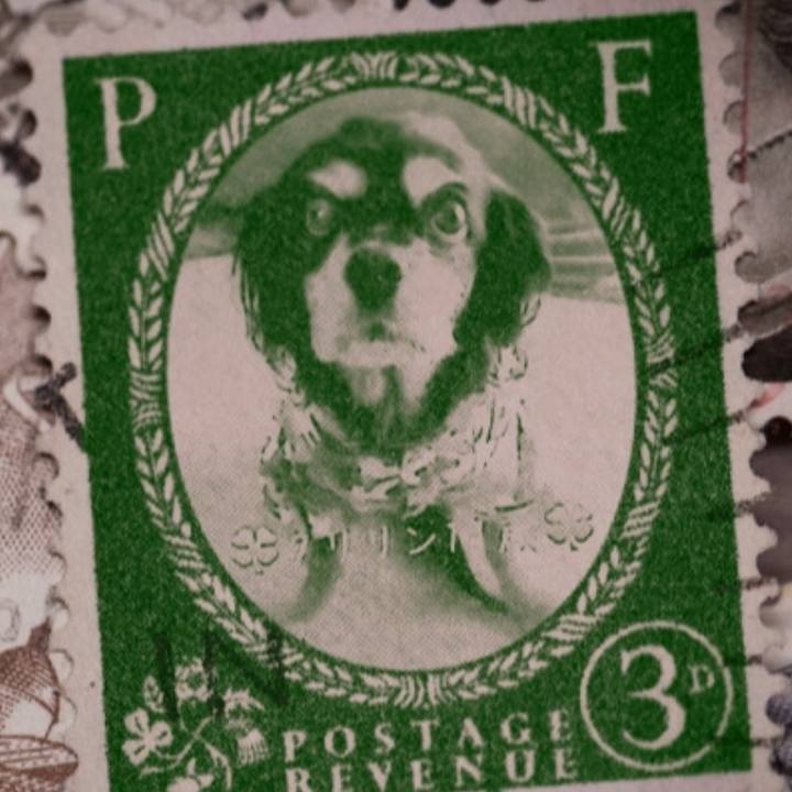 6419a908 62a9 4003 8da4 c1259b2c3a19 1569885096871