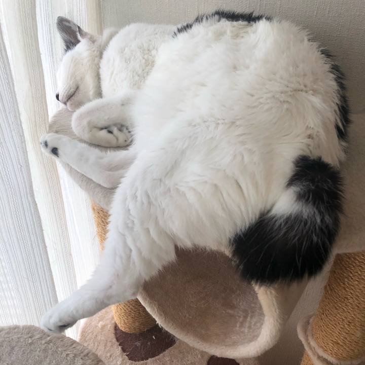 6419ceb3 cbc4 4dc1 b4fa eb9cc8cff318 1567932666789