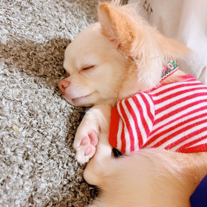 6419d5d1 a1fc 4039 895e 78ad3a3358aa 1658891081794