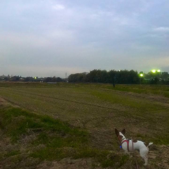 6419e706 a07d 429e 979f bb5bdb9544f2 1512380659924