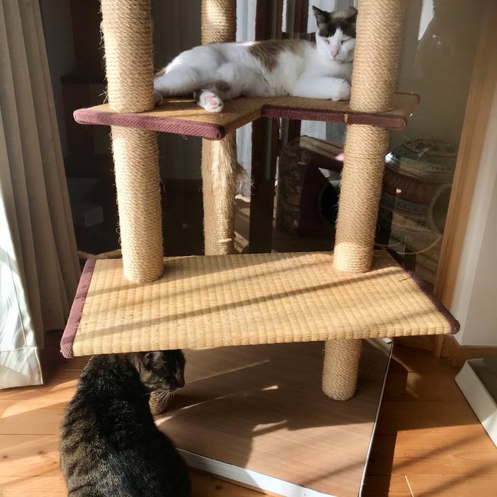 6419f5a0 d62d 4441 9f40 b8a25340026c 1612075906891