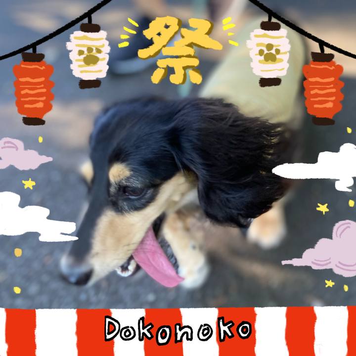 6419f880 ae44 4418 816b cdb003802810 1723526254099