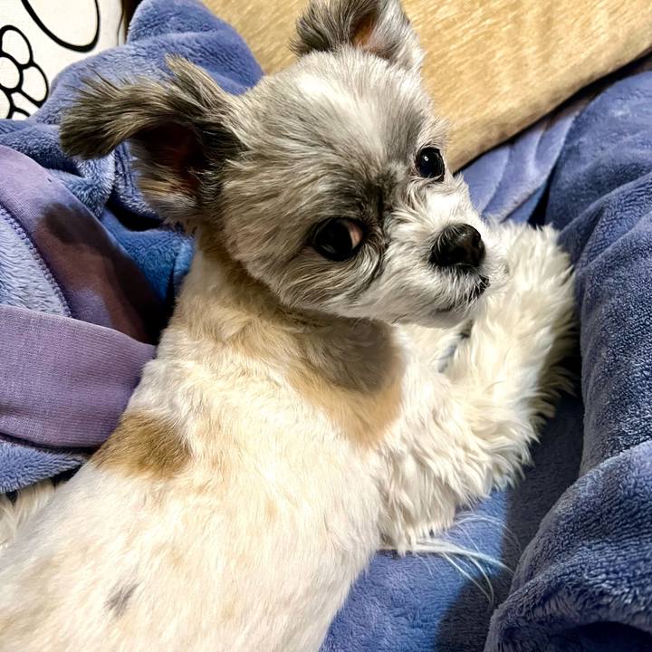 641a160b 2101 4ff8 baaf 0a0d3b22aa79 1738749163787