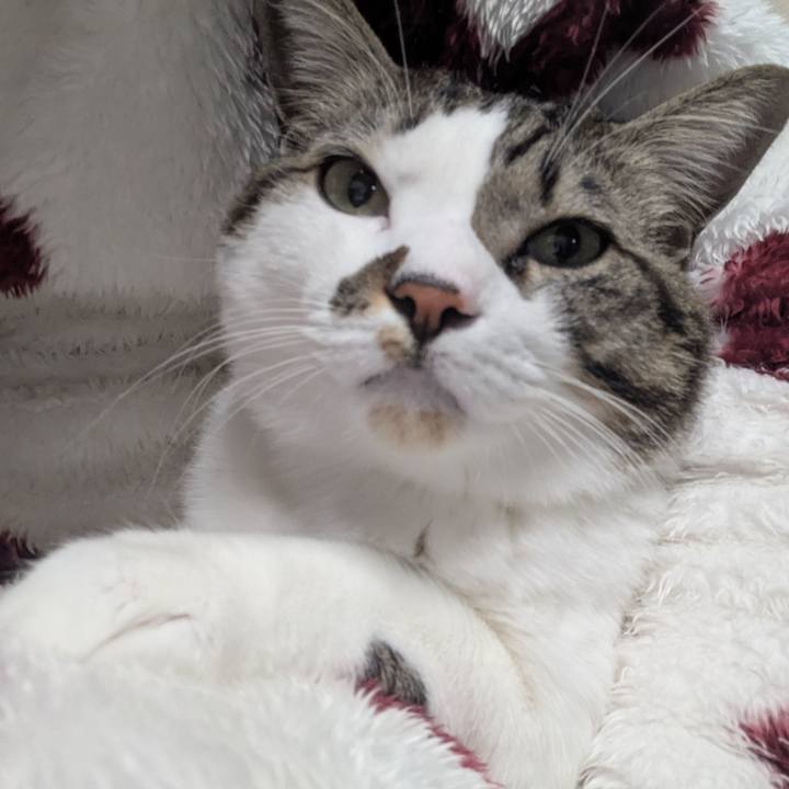 641a1f7f ac6c 41d7 bd5d de448bbc5879 1737120379229